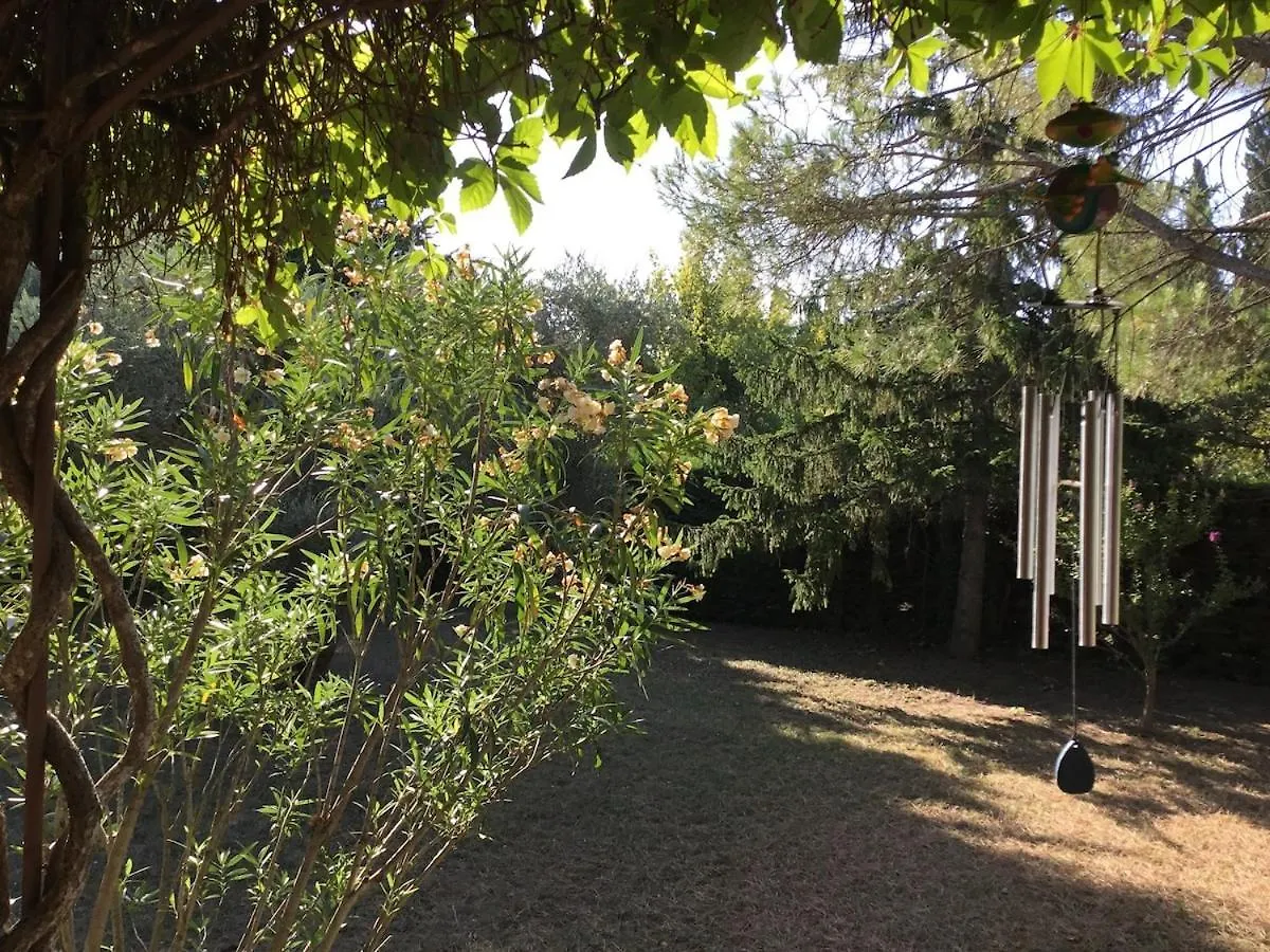 Maison De Famille Avec Piscine Aubignan France