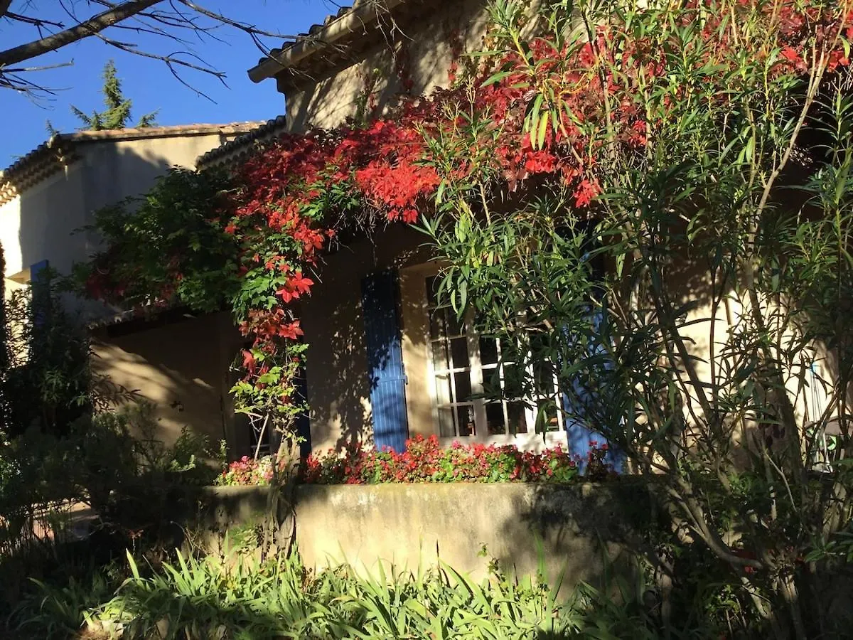 Maison De Famille Avec Piscine Aubignan Holiday home